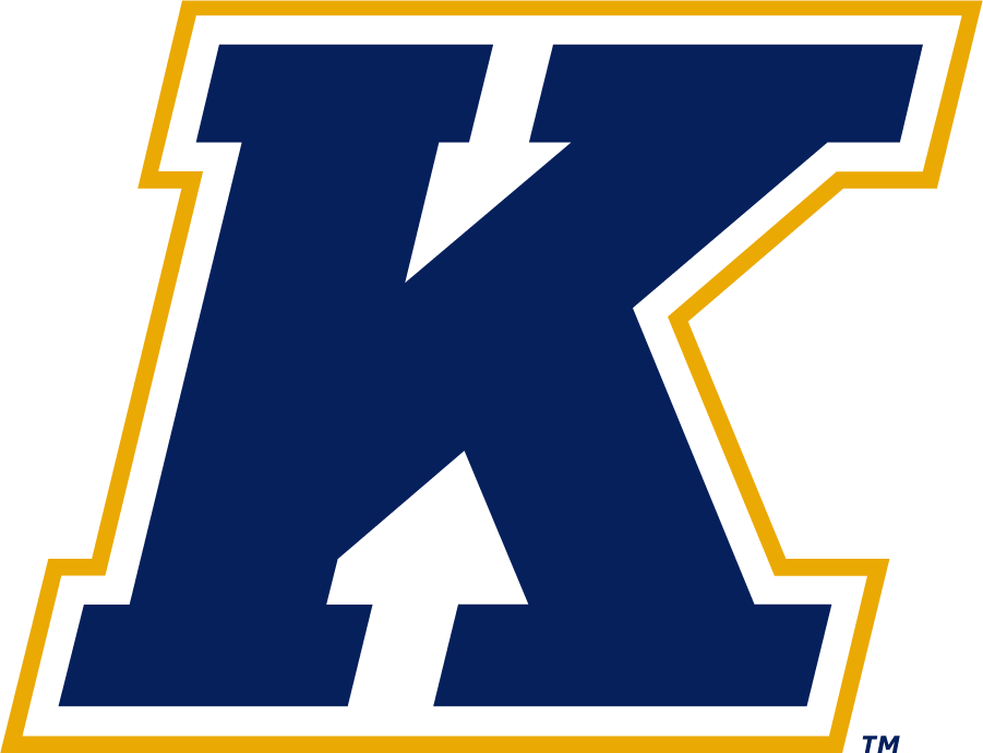 Kent State Golden Flashes 2017-Pres Secondary Logo iron on transfers for T-shirts